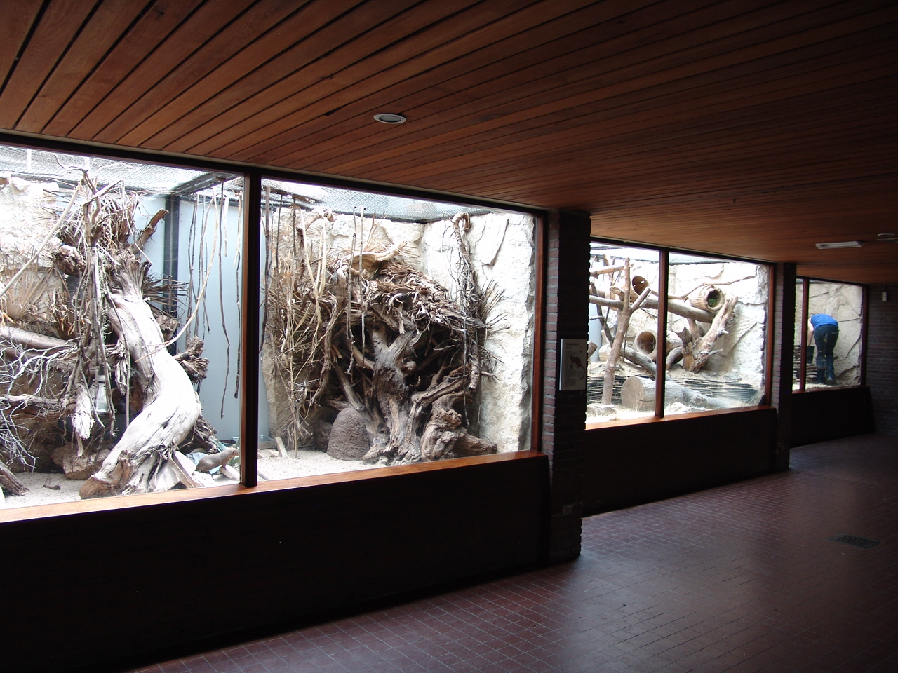 Small Mammal House 2