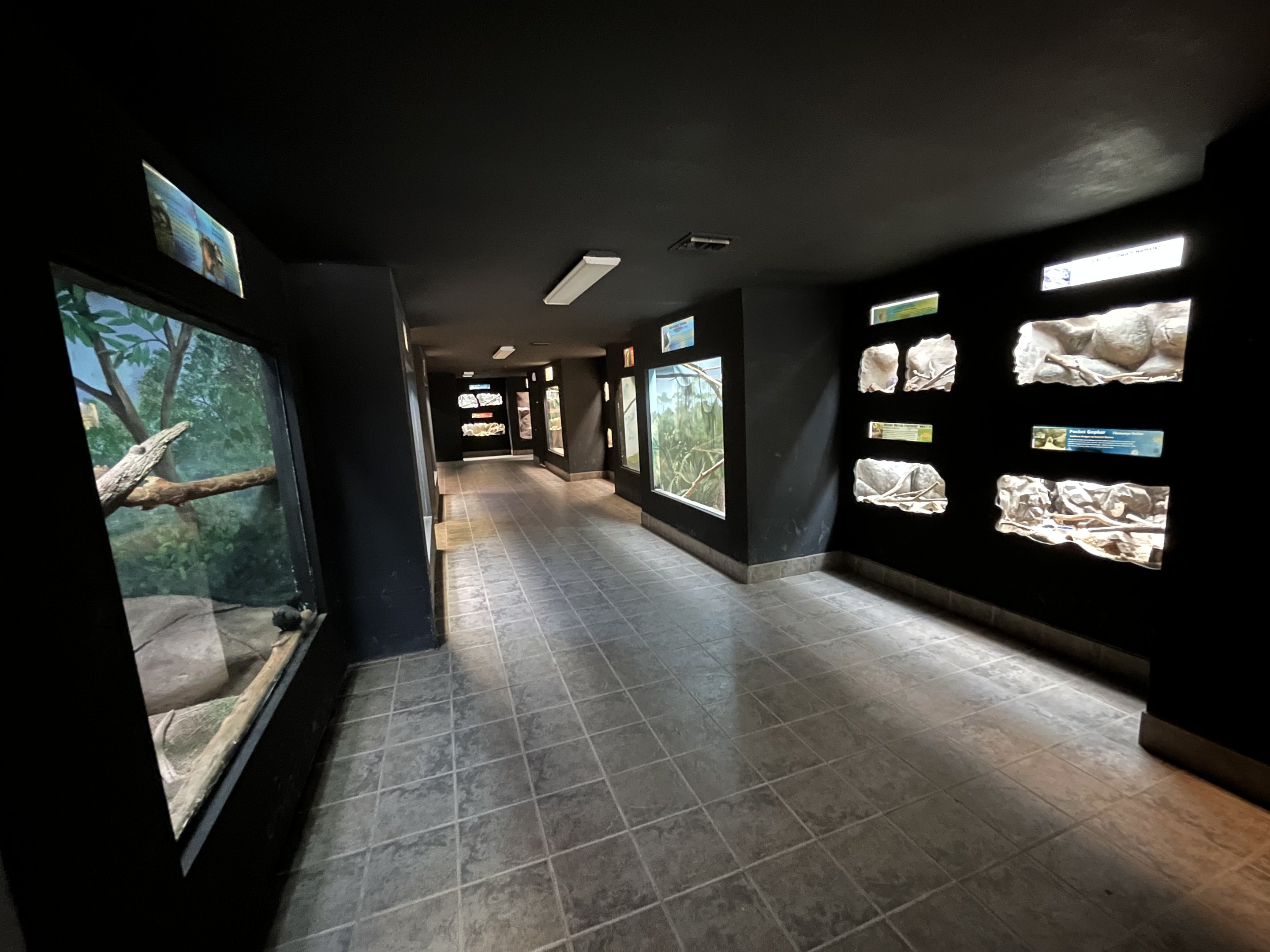 Small Mammal House - 38 exhibits