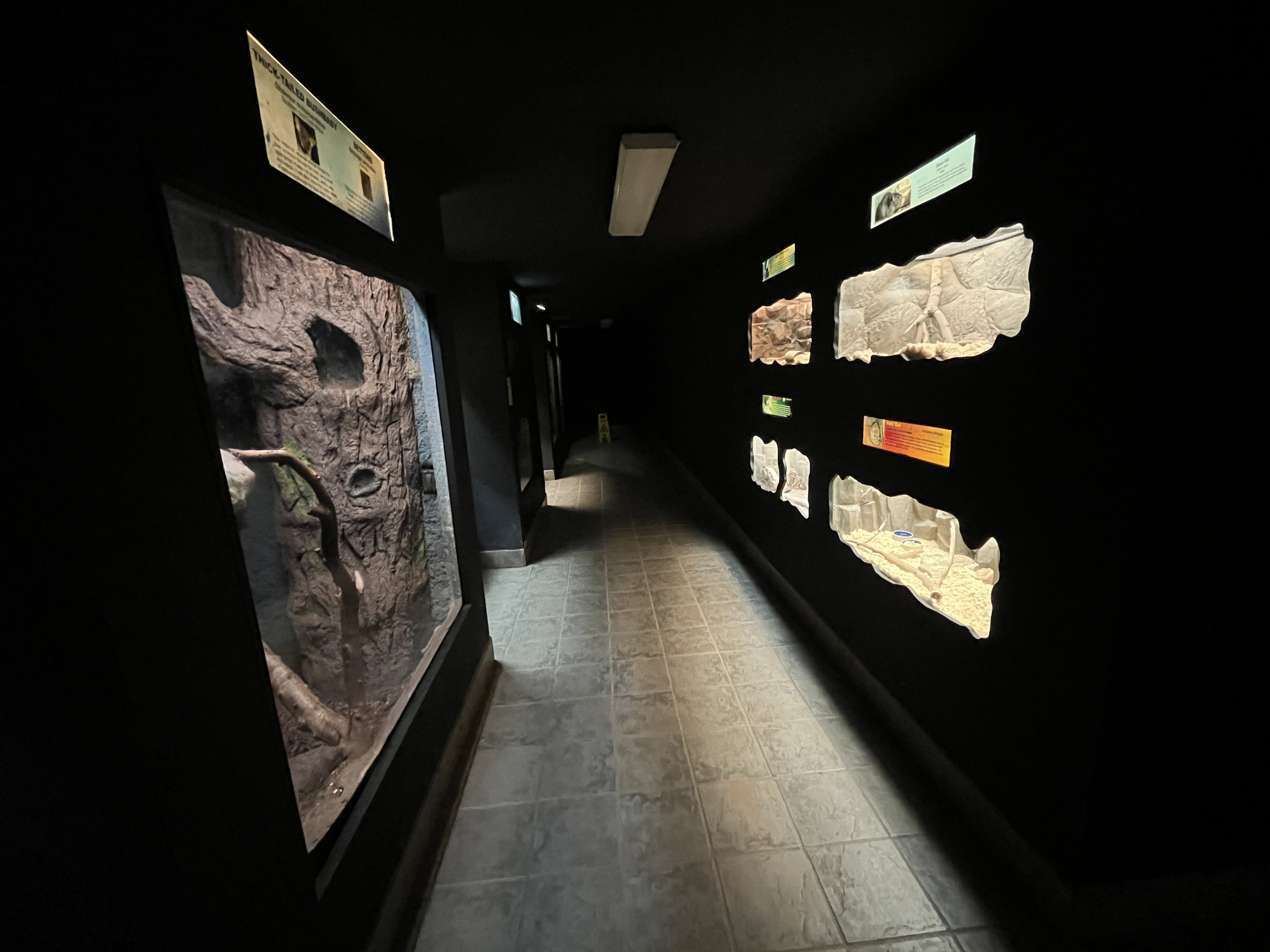 Small Mammal House - 38 exhibits