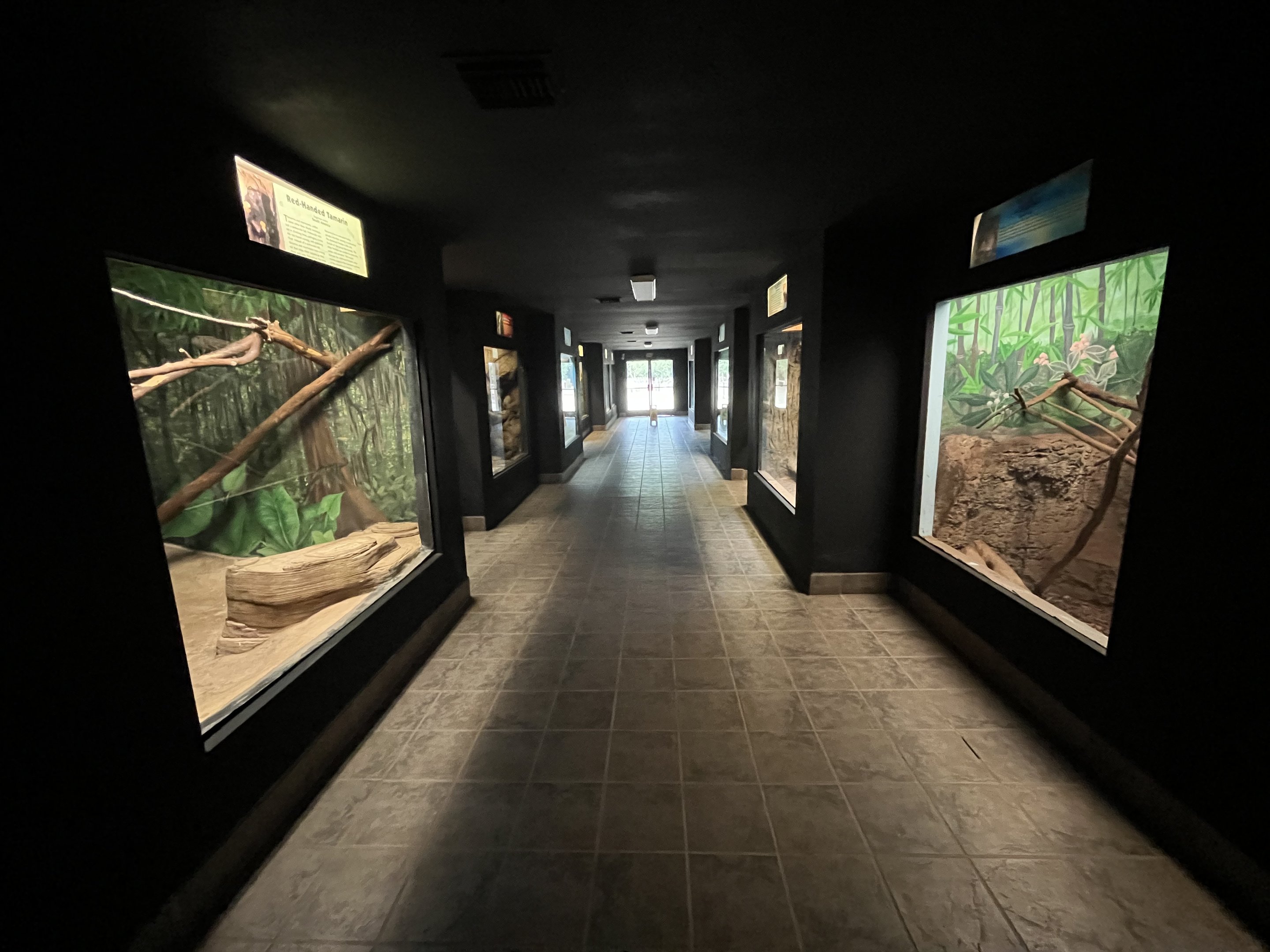 Small Mammal House - 38 species