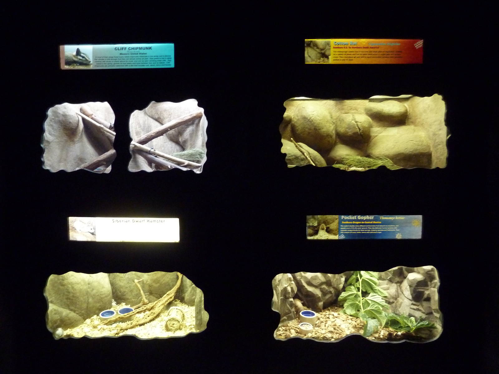 Small Mammal House (4 Exhibits)