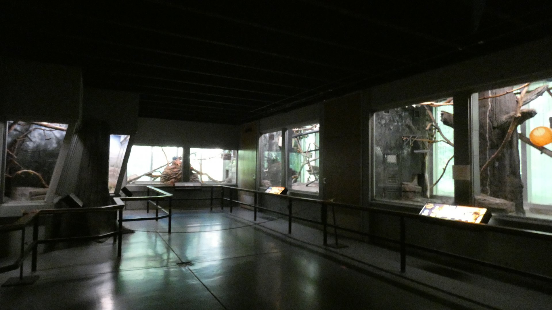 Small Mammal House - Aug. 2021