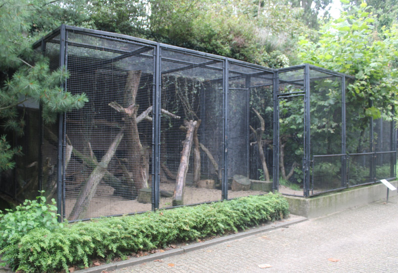 Small Mammal House - Binturong enclosures