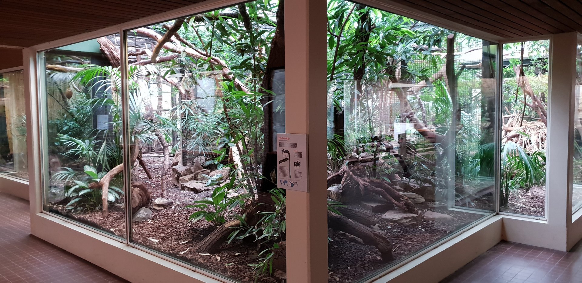 Small Mammal House - Cotton-top tamarin enclosure