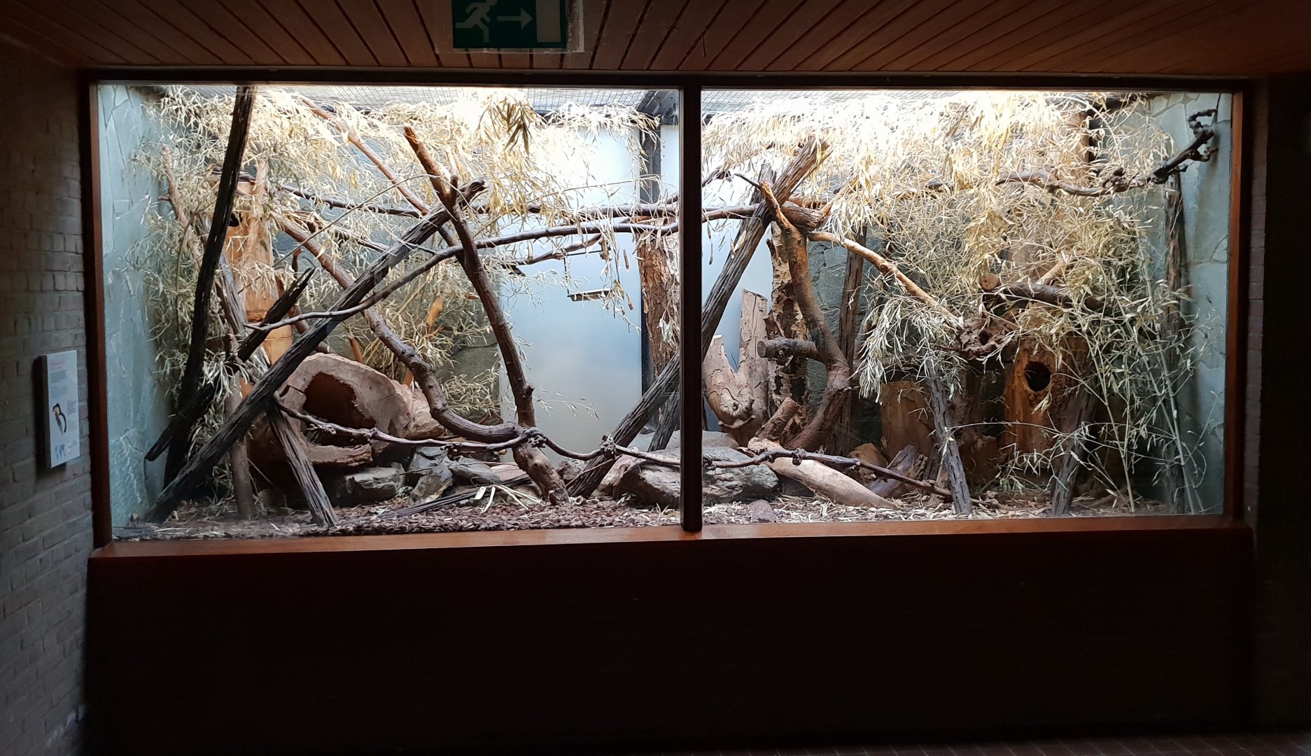 Small Mammal House : Enclosure Prevost squirrel