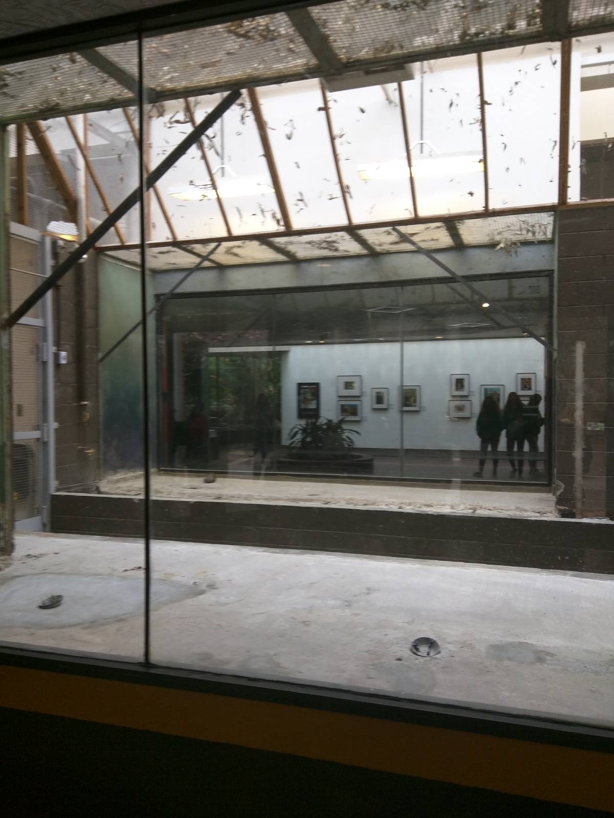 Small Mammal House - Exhibit renovation