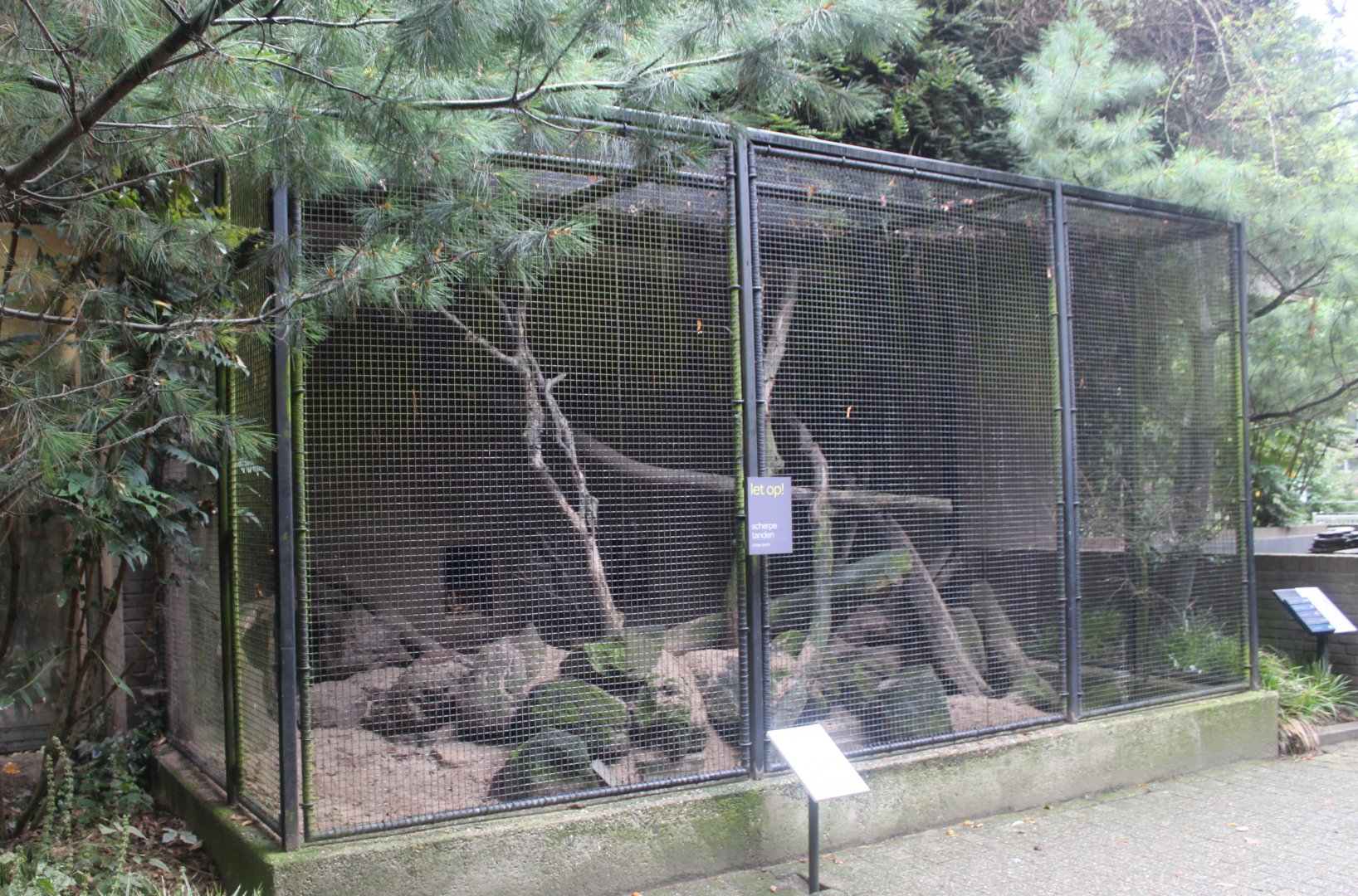 Small Mammal House - Fennek outdoor-enclosure