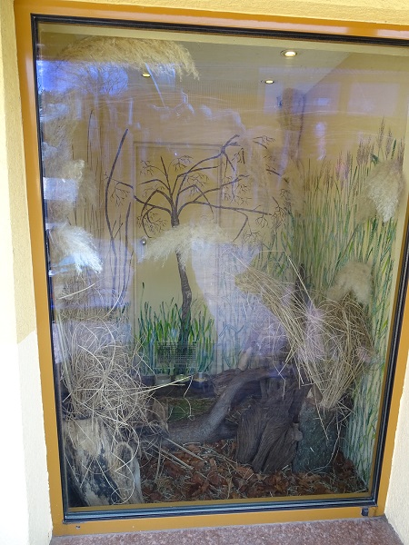 Small mammal house; hispid cotton rat enclosure (04/22)