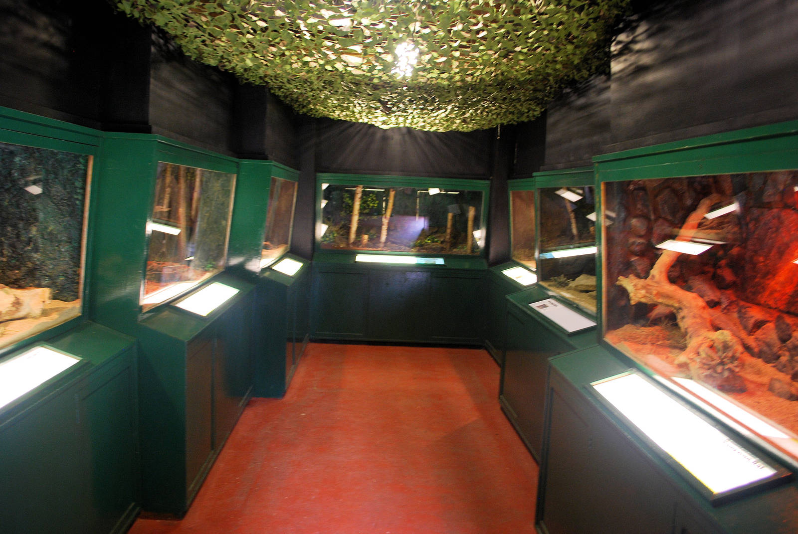 SMALL MAMMAL HOUSE INSIDE