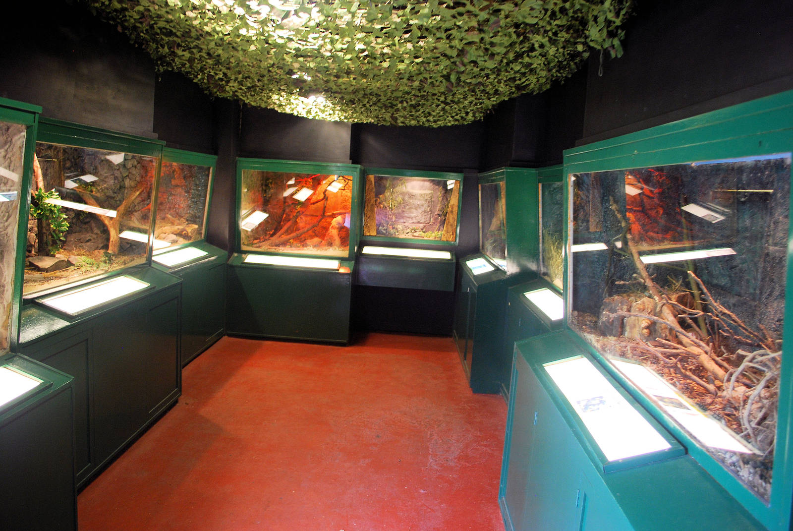 SMALL MAMMAL HOUSE INSIDE
