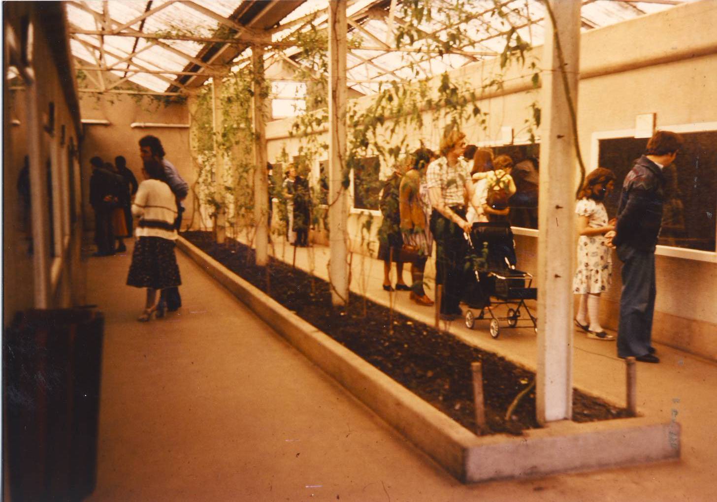 Small Mammal House interior Chester Zoo 23 April 1978