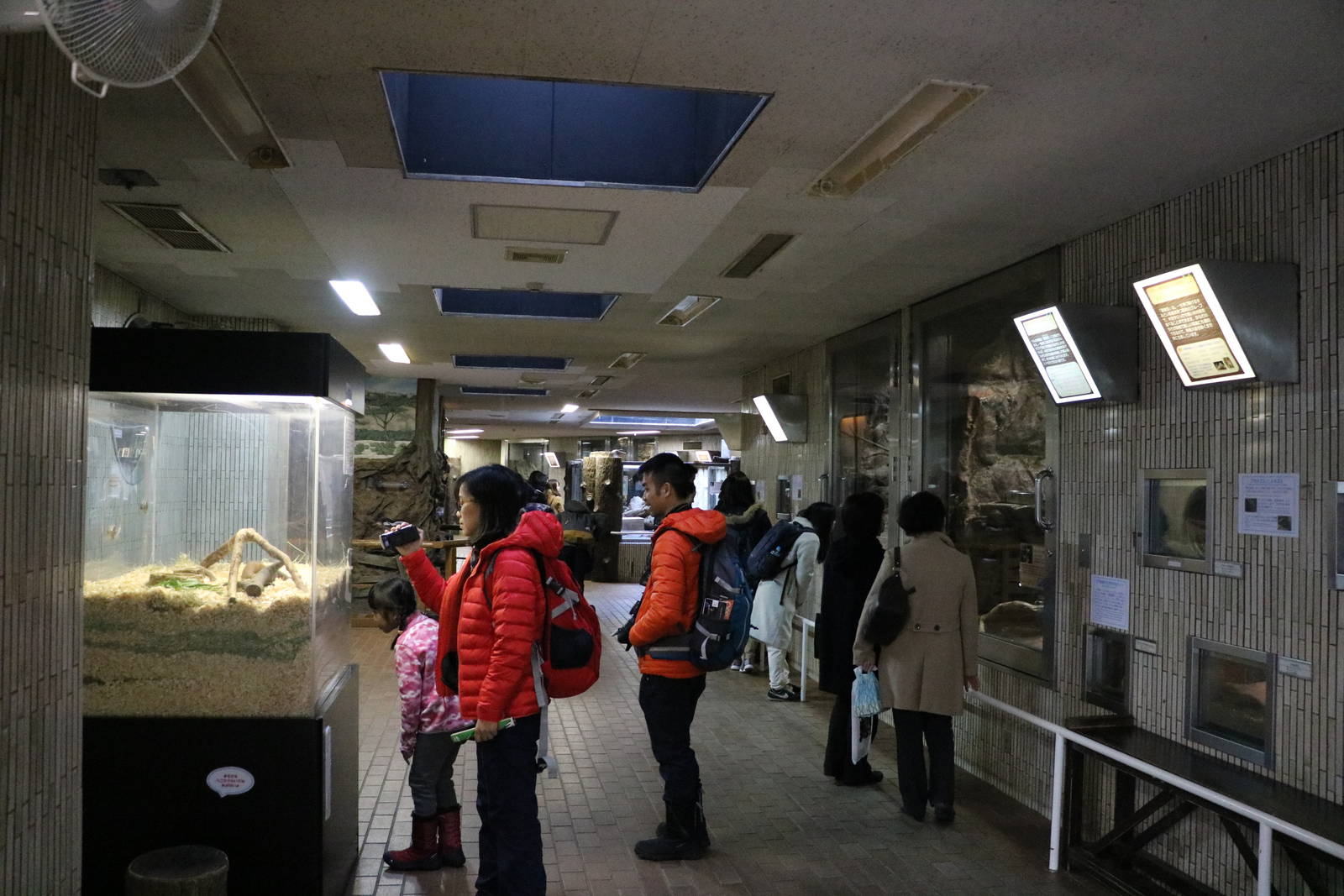 Small mammal house interior, February 2016