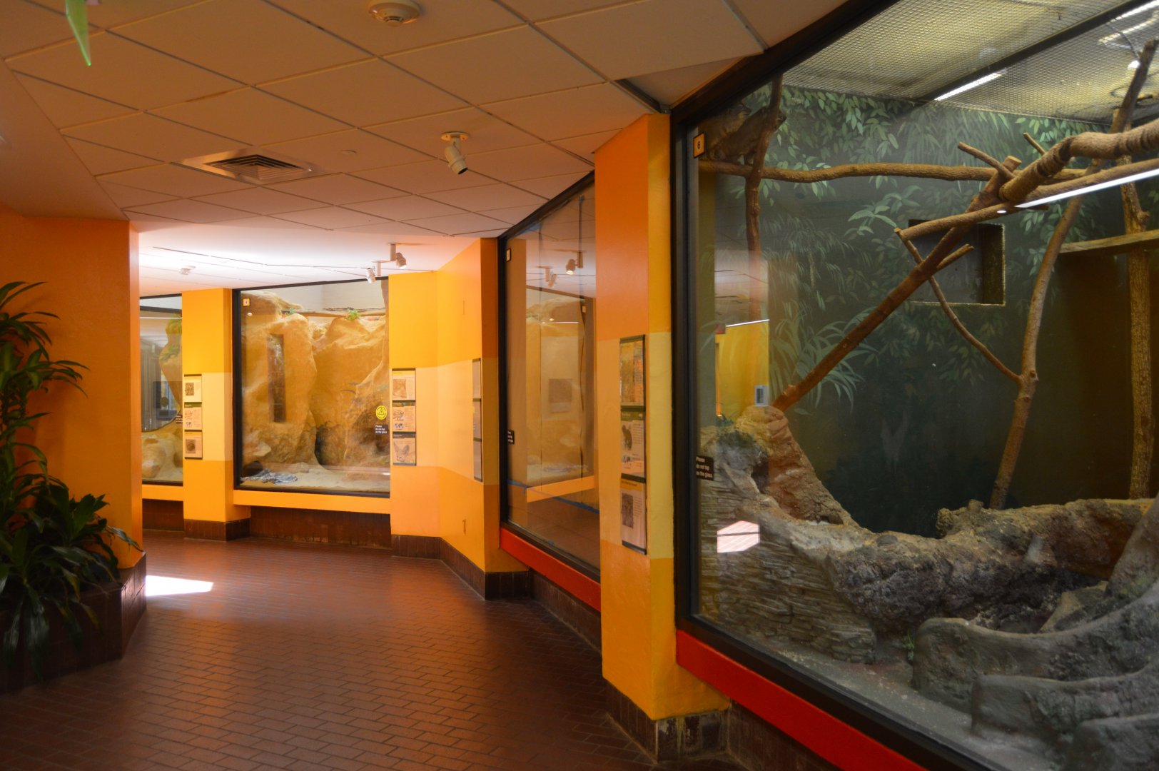 Small Mammal House - Interior