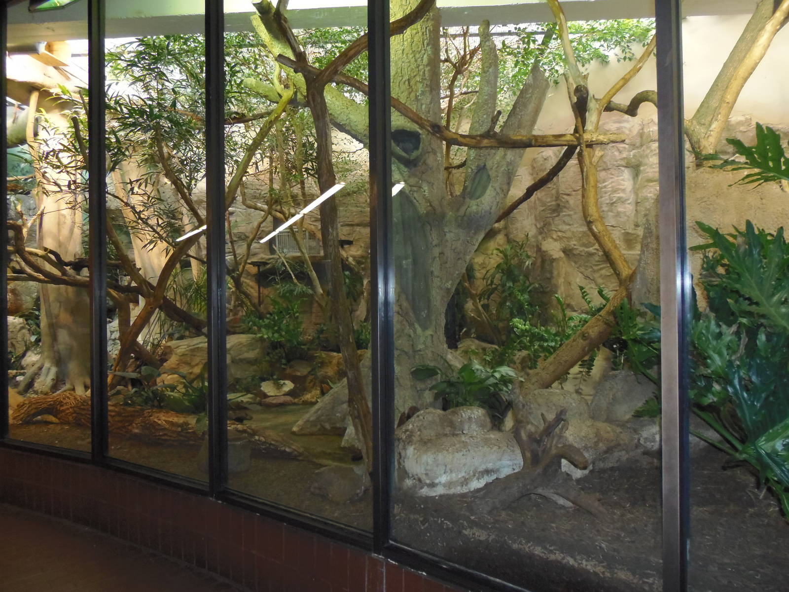 Small Mammal House- Lemur/Hyrax/Squirrel Exhibit