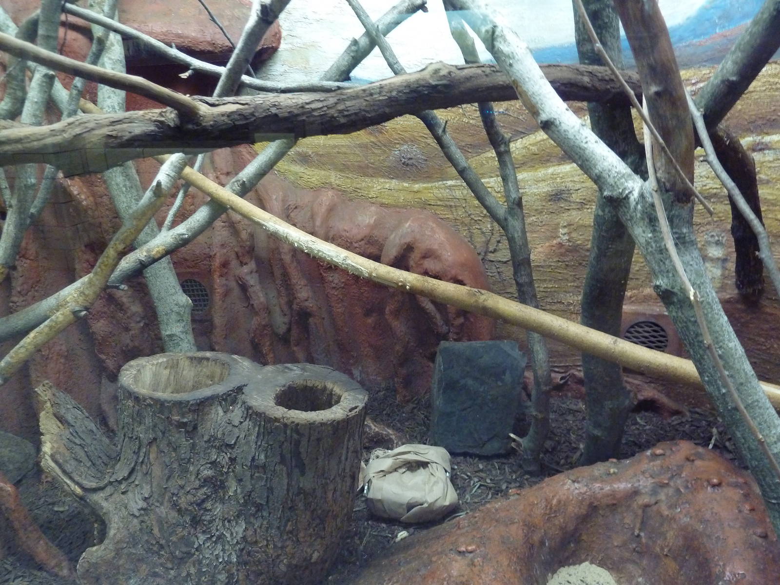 Small Mammal House - Madagascar Giant Jumping Rat Exhibit