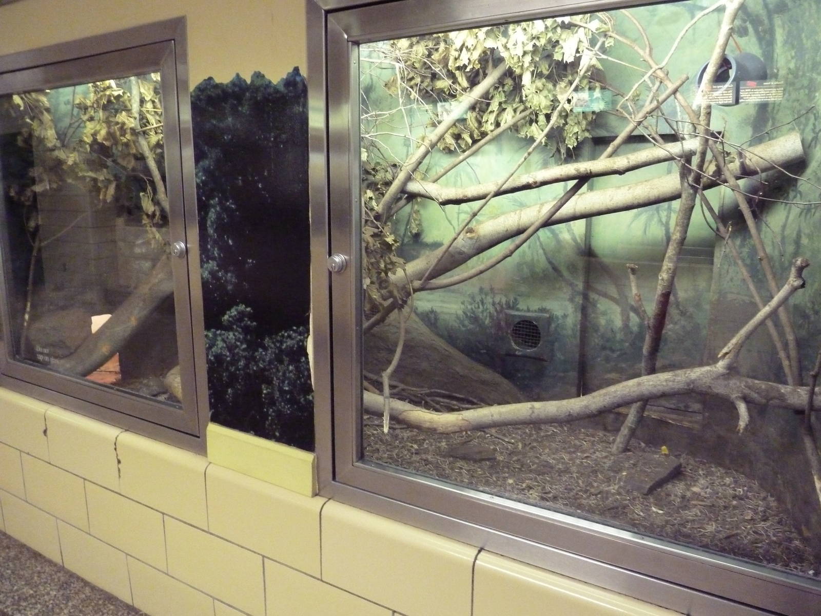 Small Mammal House - Madagascar Giant Jumping Rat Exhibit