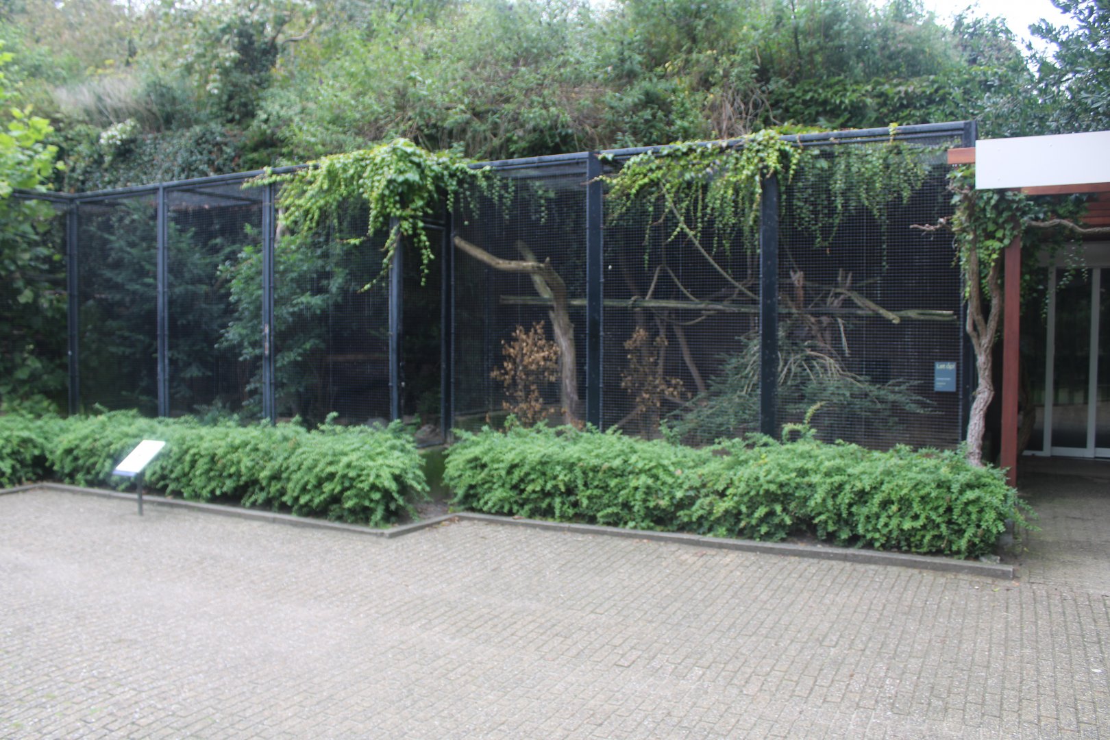 Small Mammal House - Margay and Meerkat enclosures