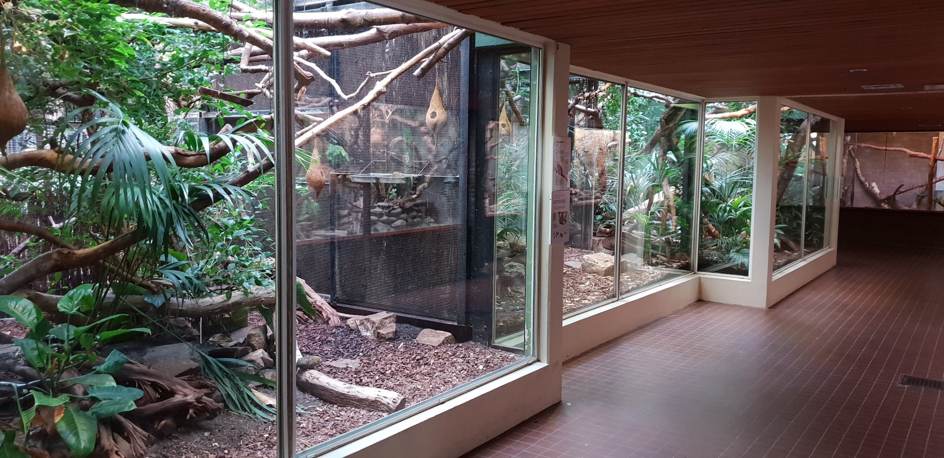 Small Mammal House - Marmoset - Tamarin - Sloth enclosures