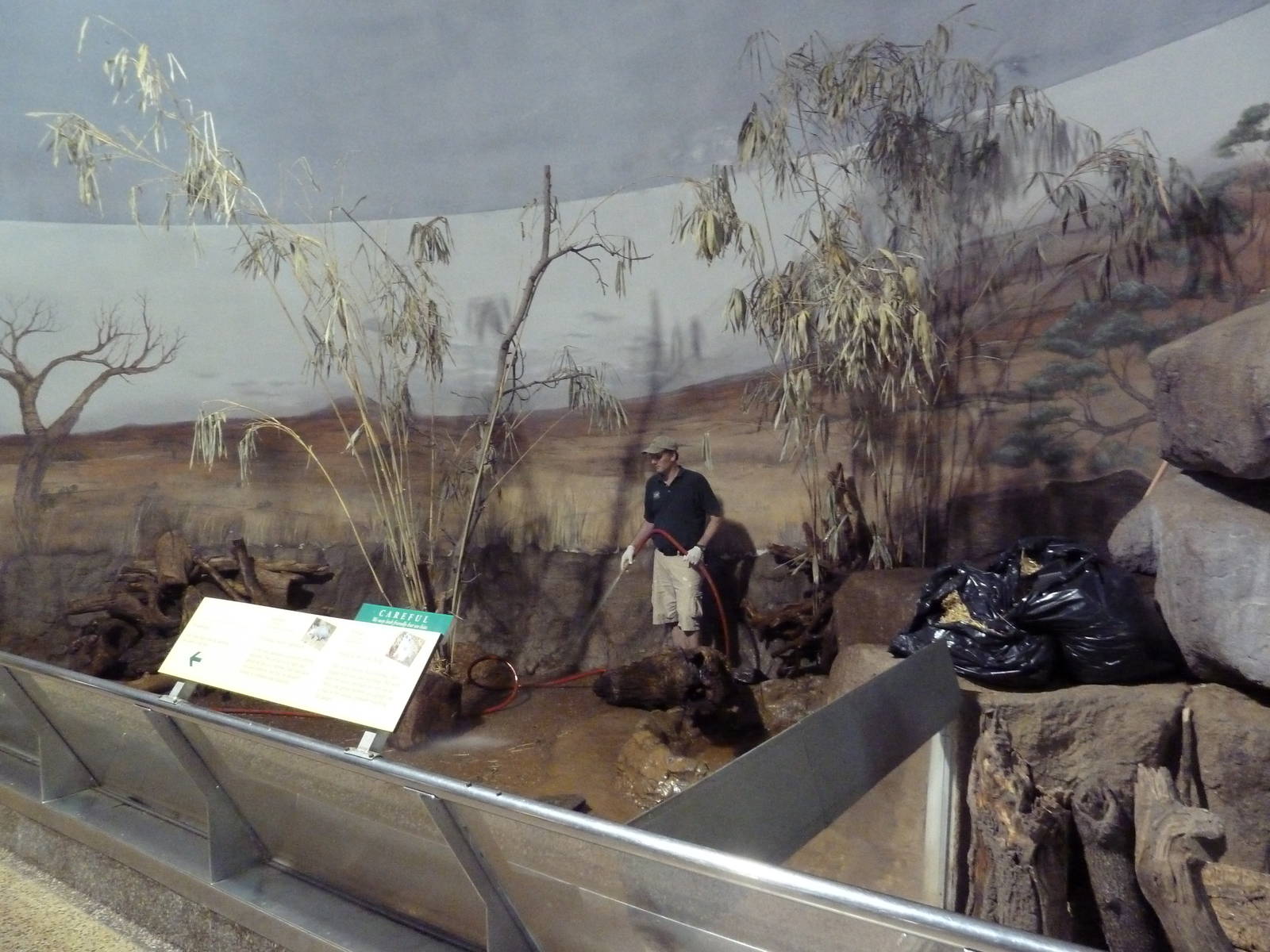 Small Mammal House - Meerkat/Aardvark Exhibit