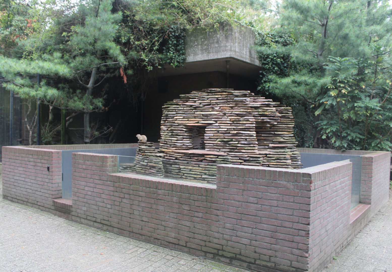 Small Mammal House - Meerkat enclosure
