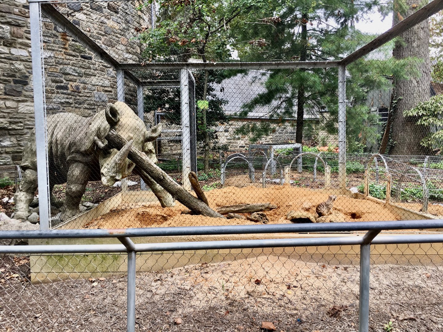 Small Mammal House - Meerkat Maze