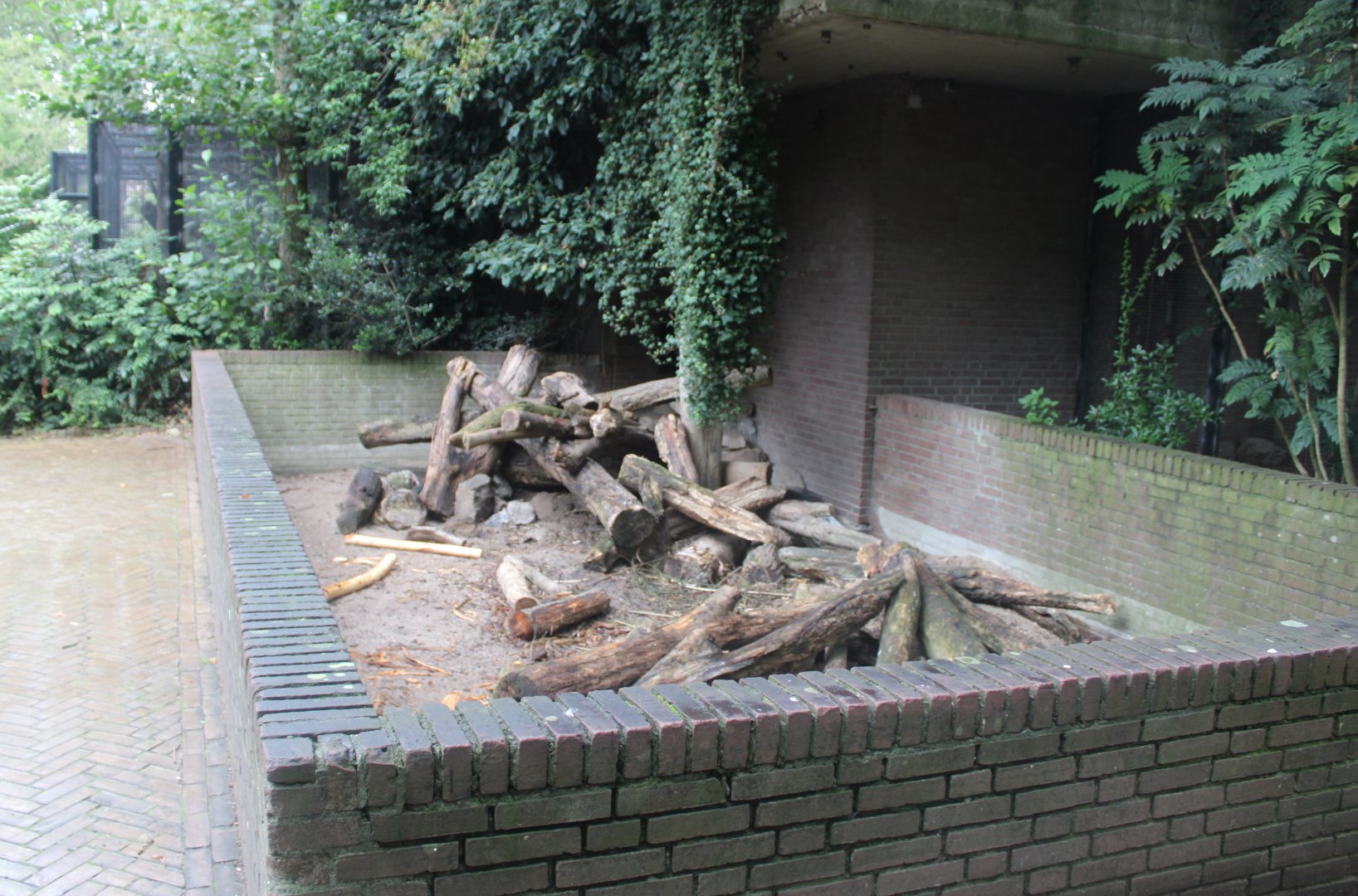 Small Mammal House - Porcupine enclosure