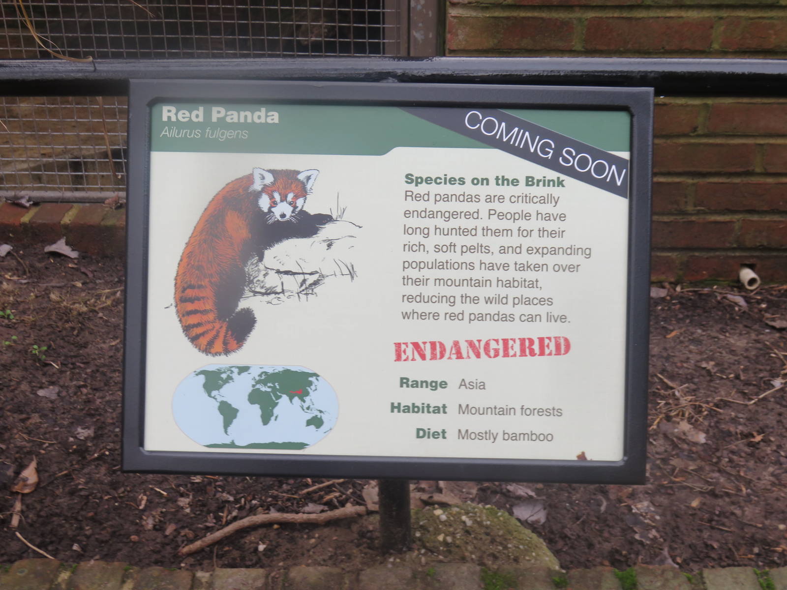 Small Mammal House - Red Pandas coming to a Smithsonian National zoo near y