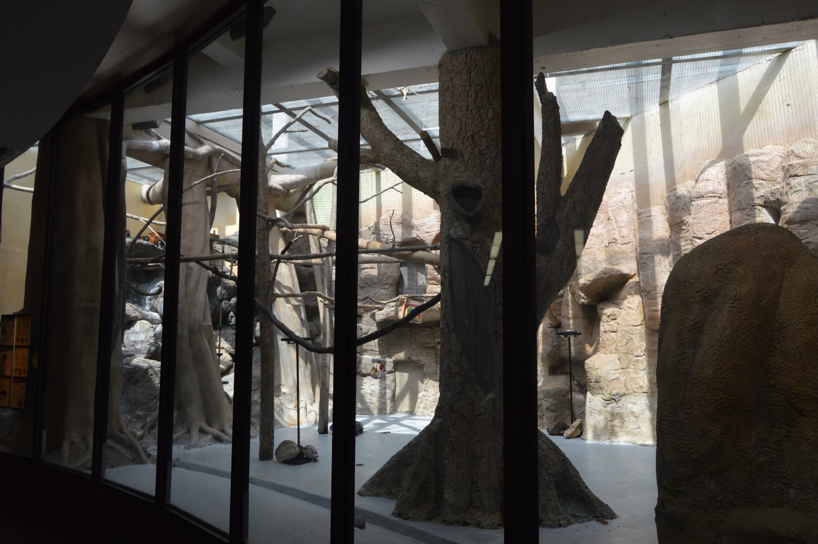 Small Mammal House - Red Ruffed Lemur (Varecia rubra) Exhibit