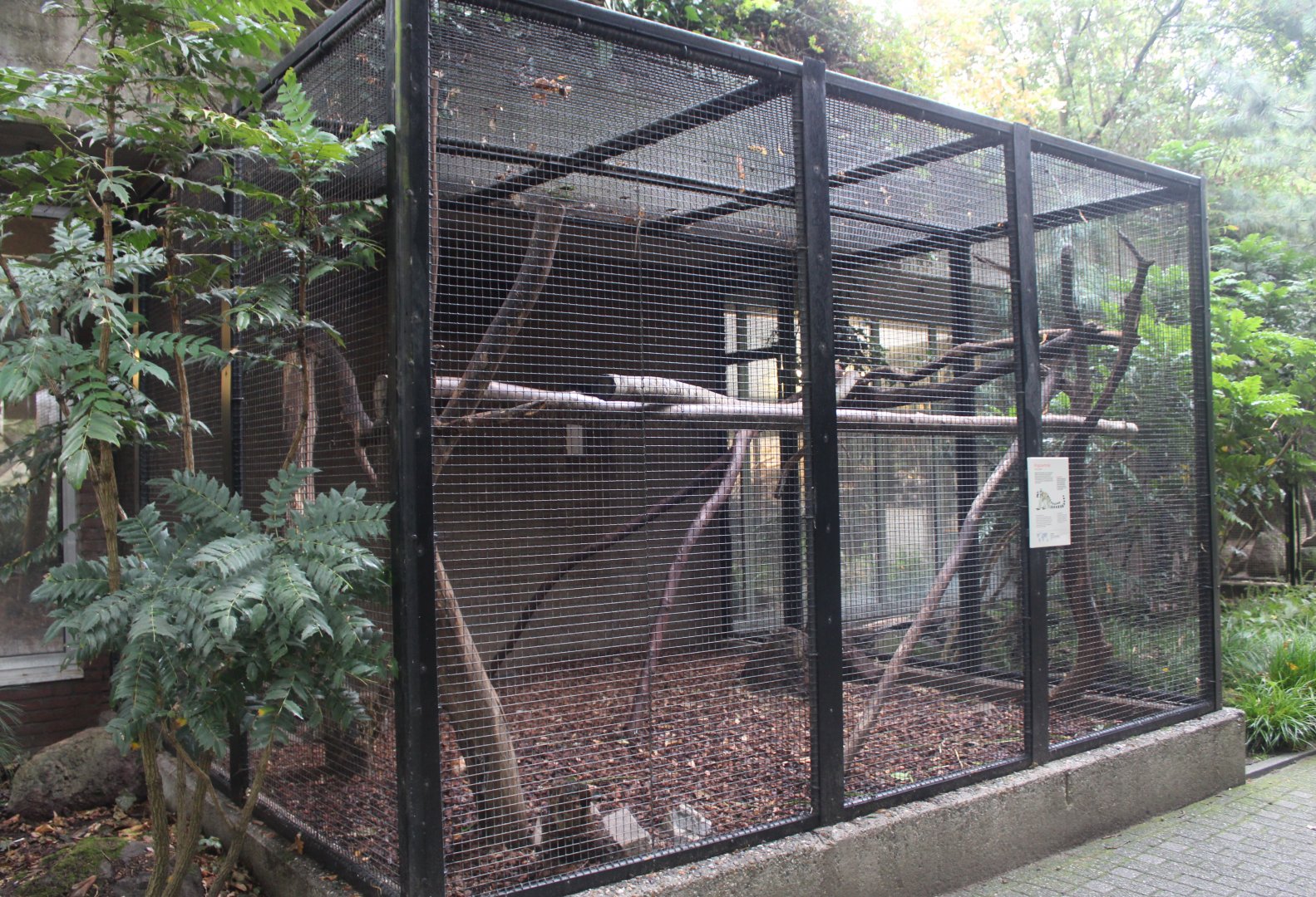 Small Mammal House - Ring-tailed lemur outdoor enclosure