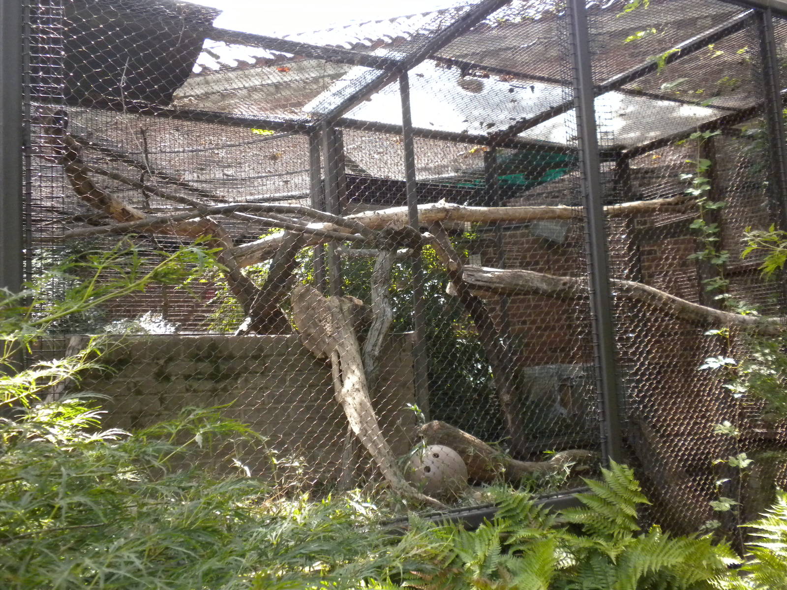 Small Mammal House - River Otter Exhibit