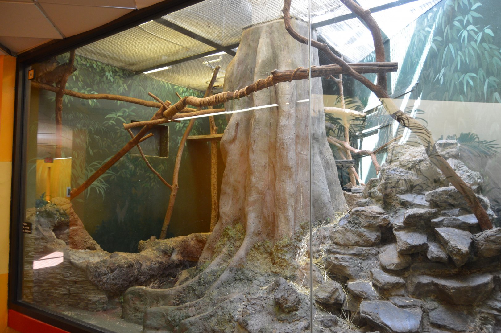 Small Mammal House - Rock Hyrax (Procavia capensis) Exhibit