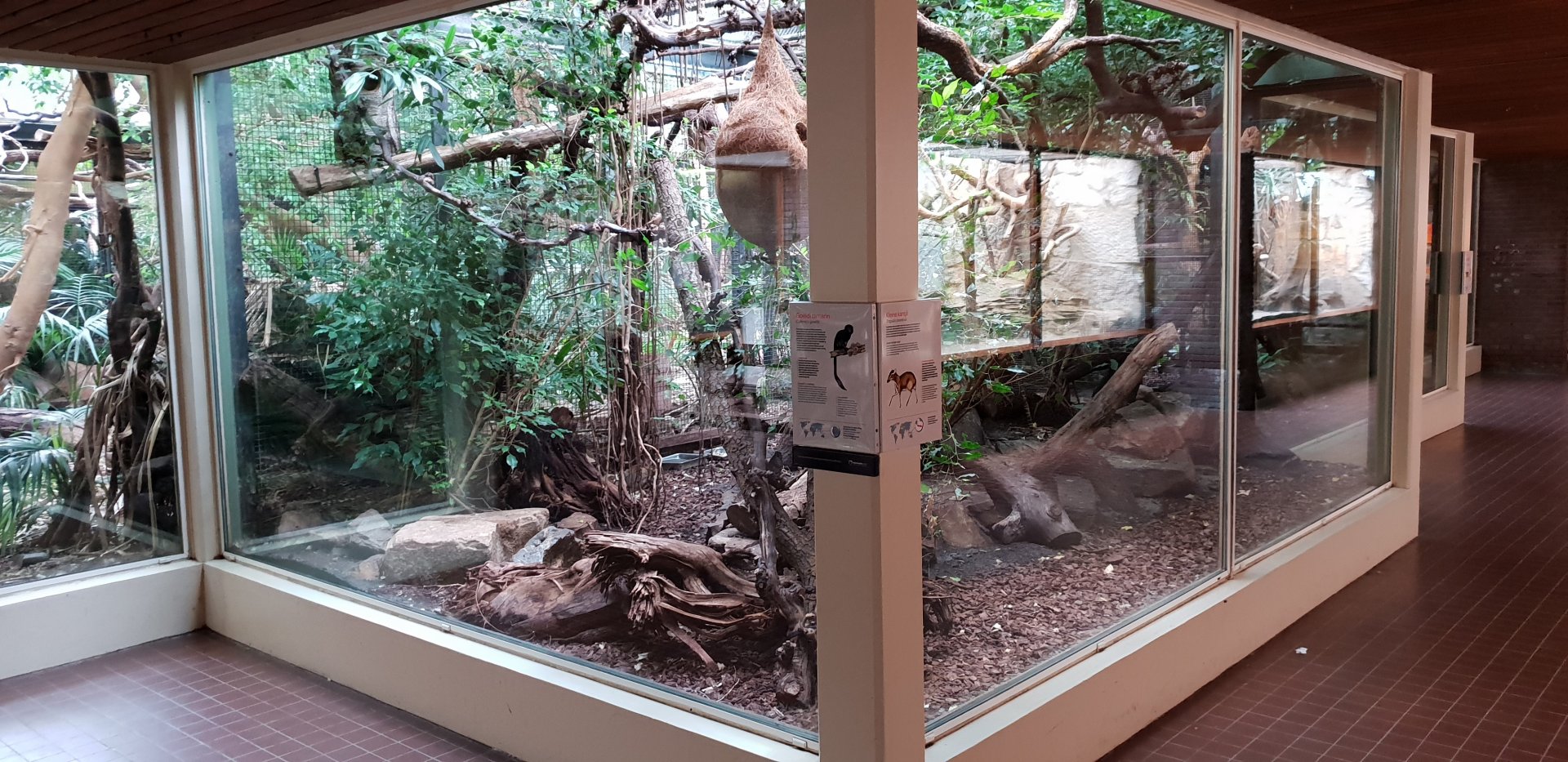 Small Mammal House - Row of 3 Marmoset - Tamarin - Mouse deer enclosures