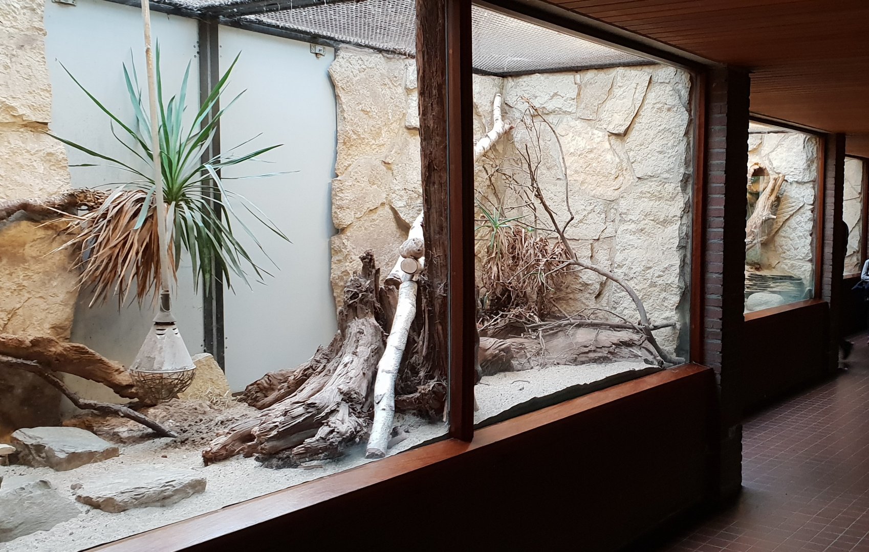 Small Mammal House : Row of Gundi-enclosures ( 3 of them ! )