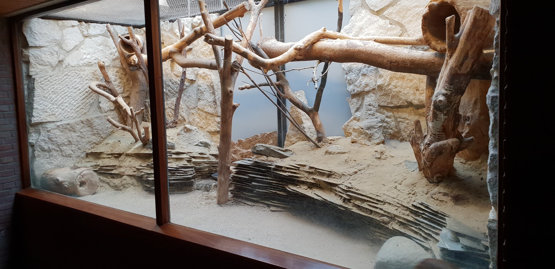Small Mammal House : Second Gundi enclosure