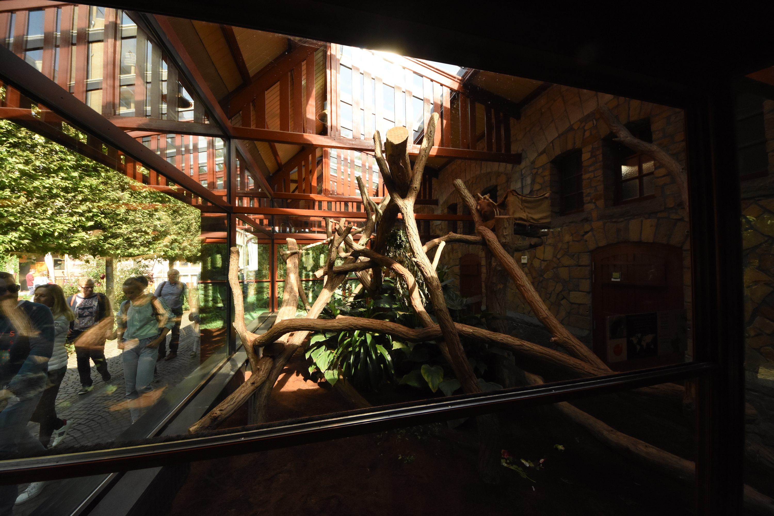 Small mammal house - Tree kangaroo