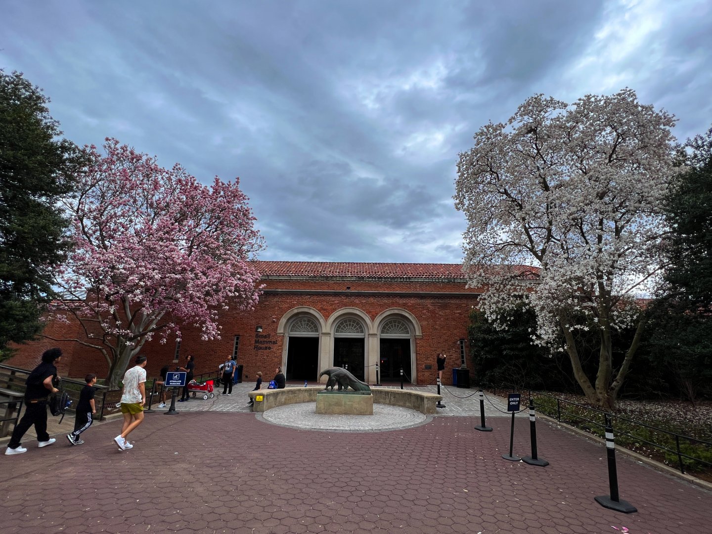 Small Mammal House With Spring Blooms