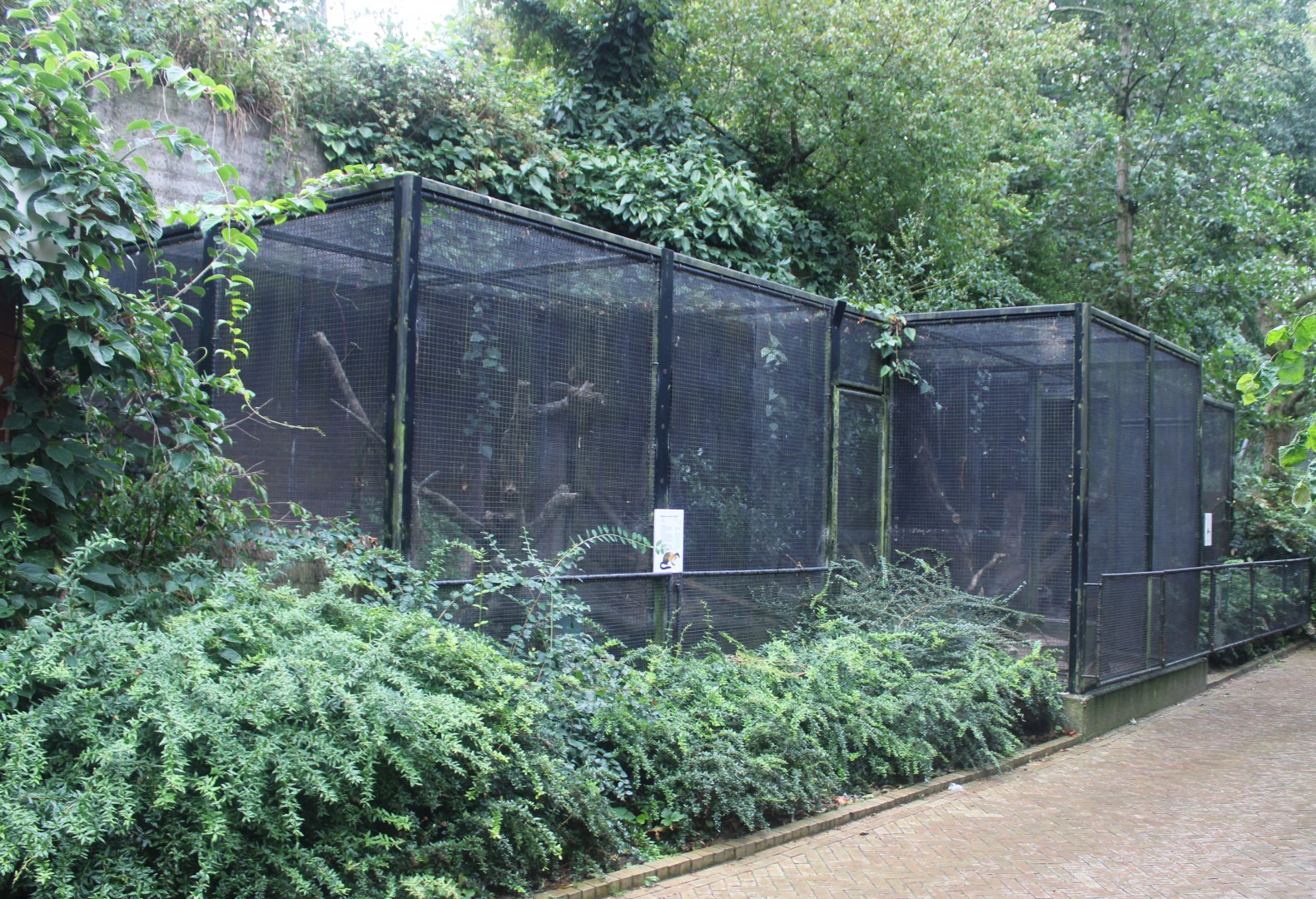 Small Mammal House - Yellow-throated marten enclosures