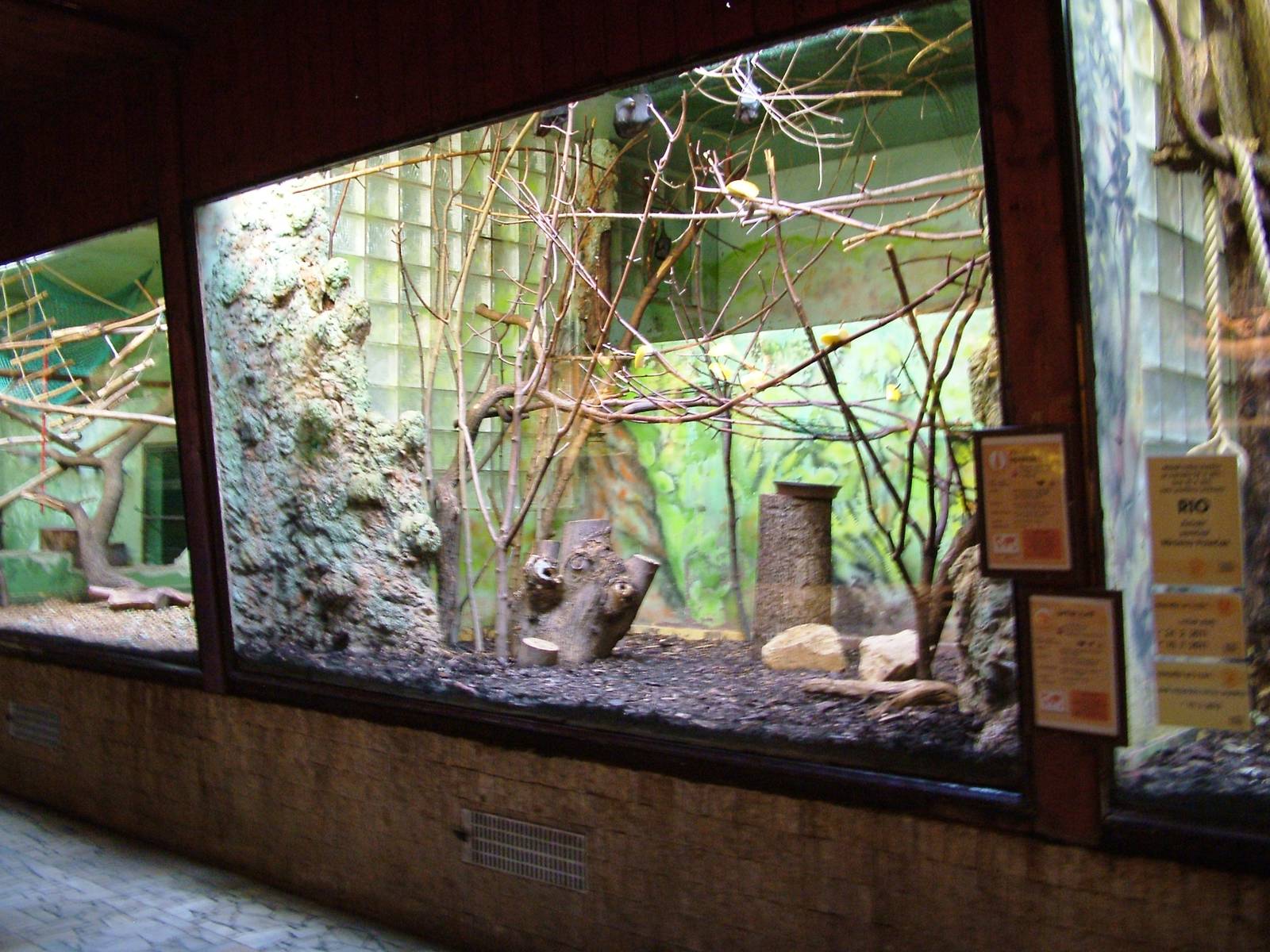 Small Mammal Indoor Exhibits at Usti, 29/08/12