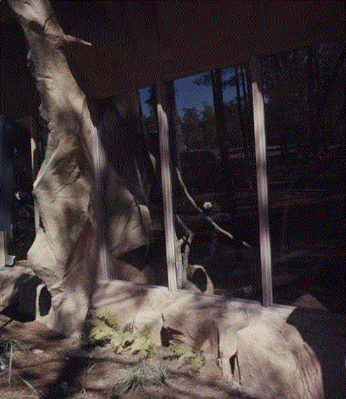 Small Mammal North 1976