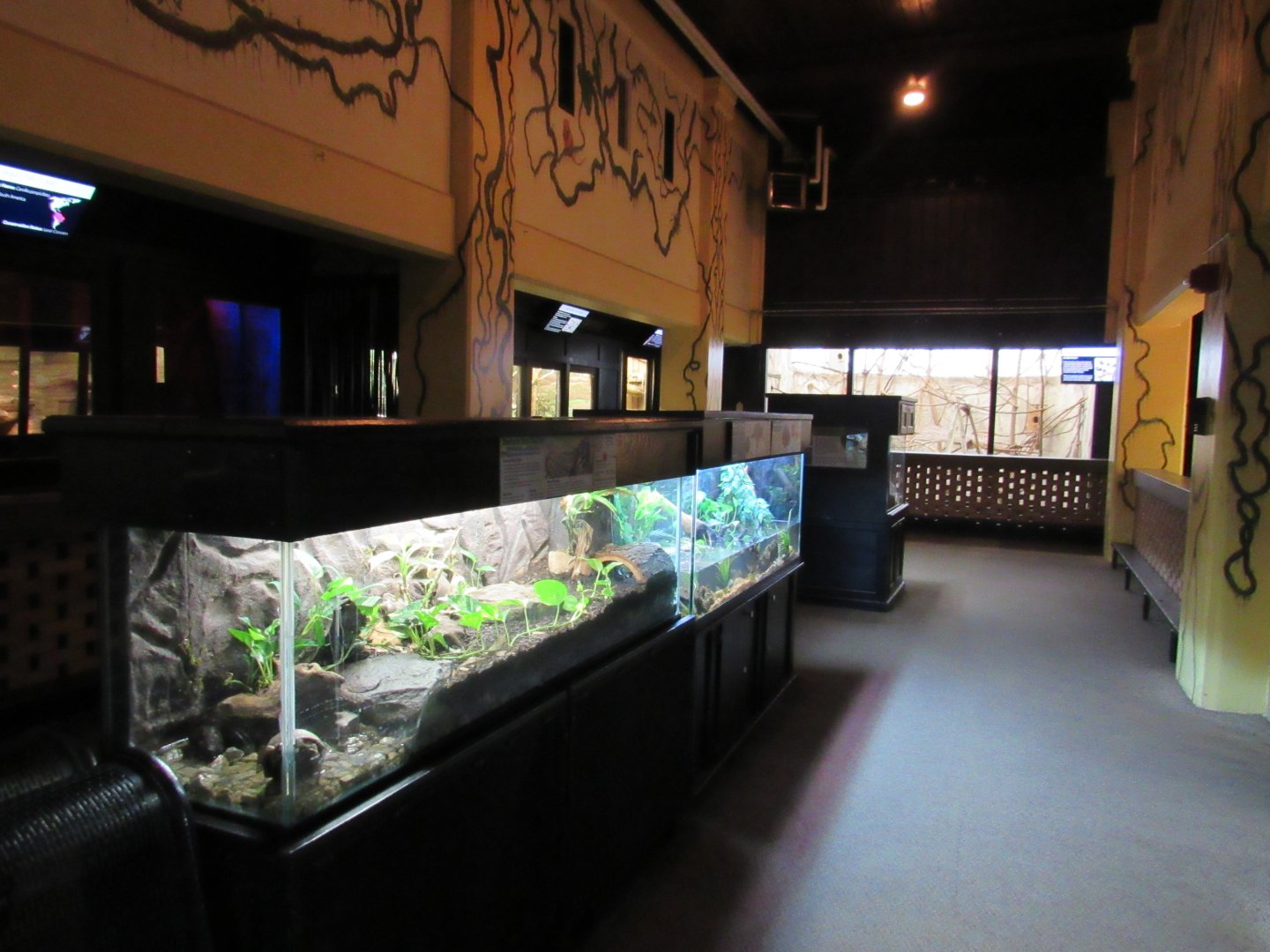 Small Mammal & Reptile Building Interior