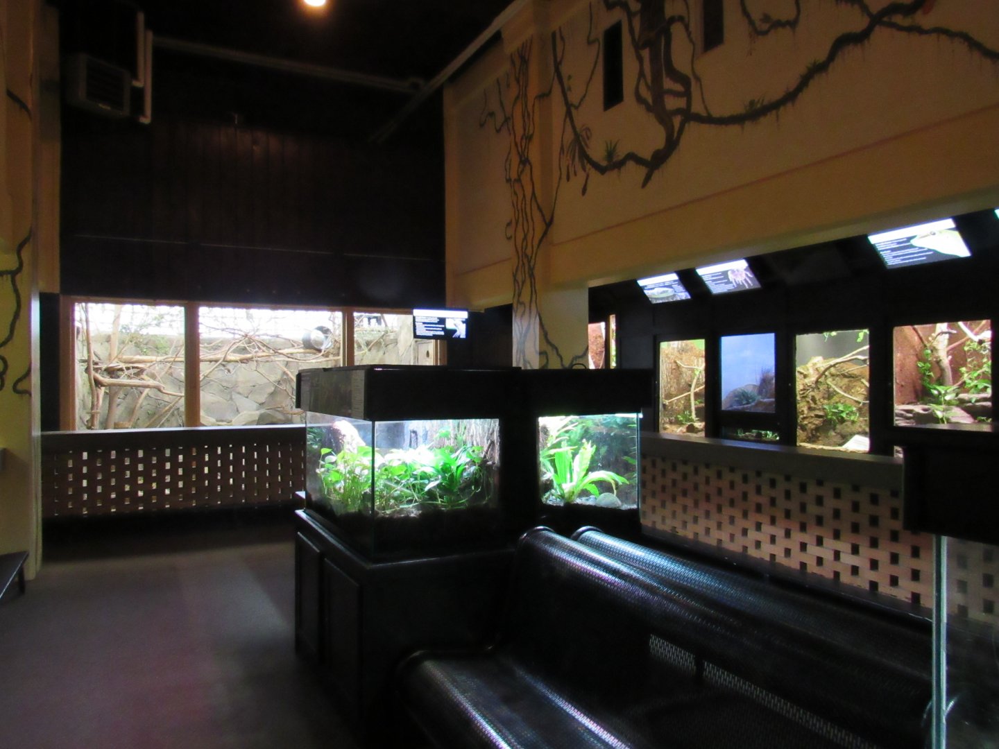 Small Mammal & Reptile Building Interior
