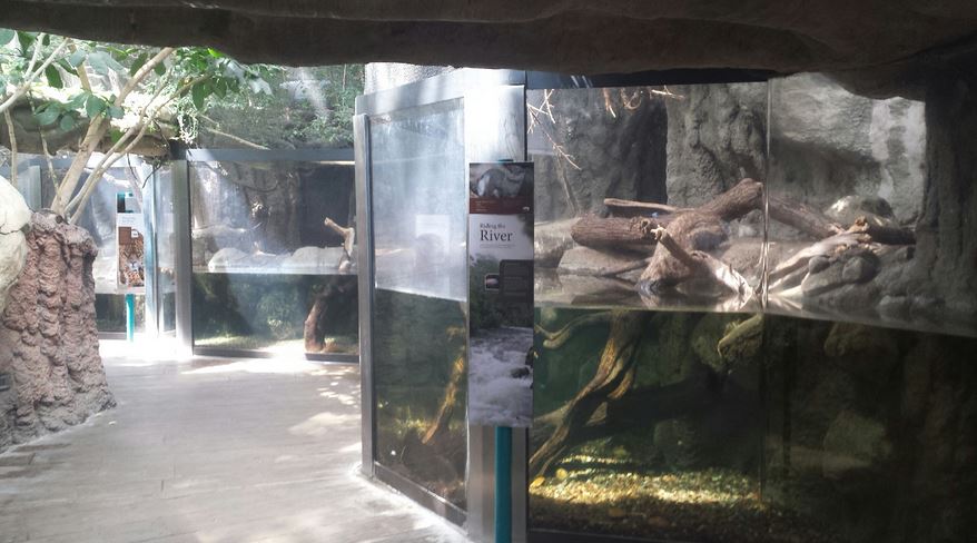 Small Mammal - Reptile House - Asian Small-clawed Otter + Prevost's Squirre