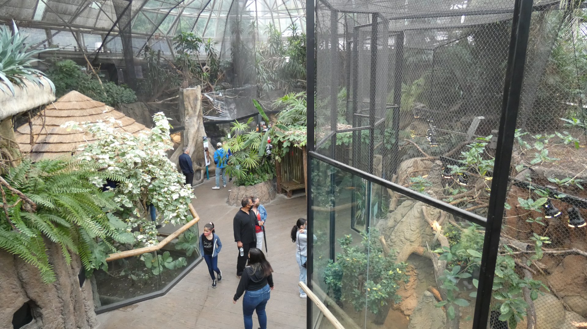 Small Mammal & Reptile House - July 2021