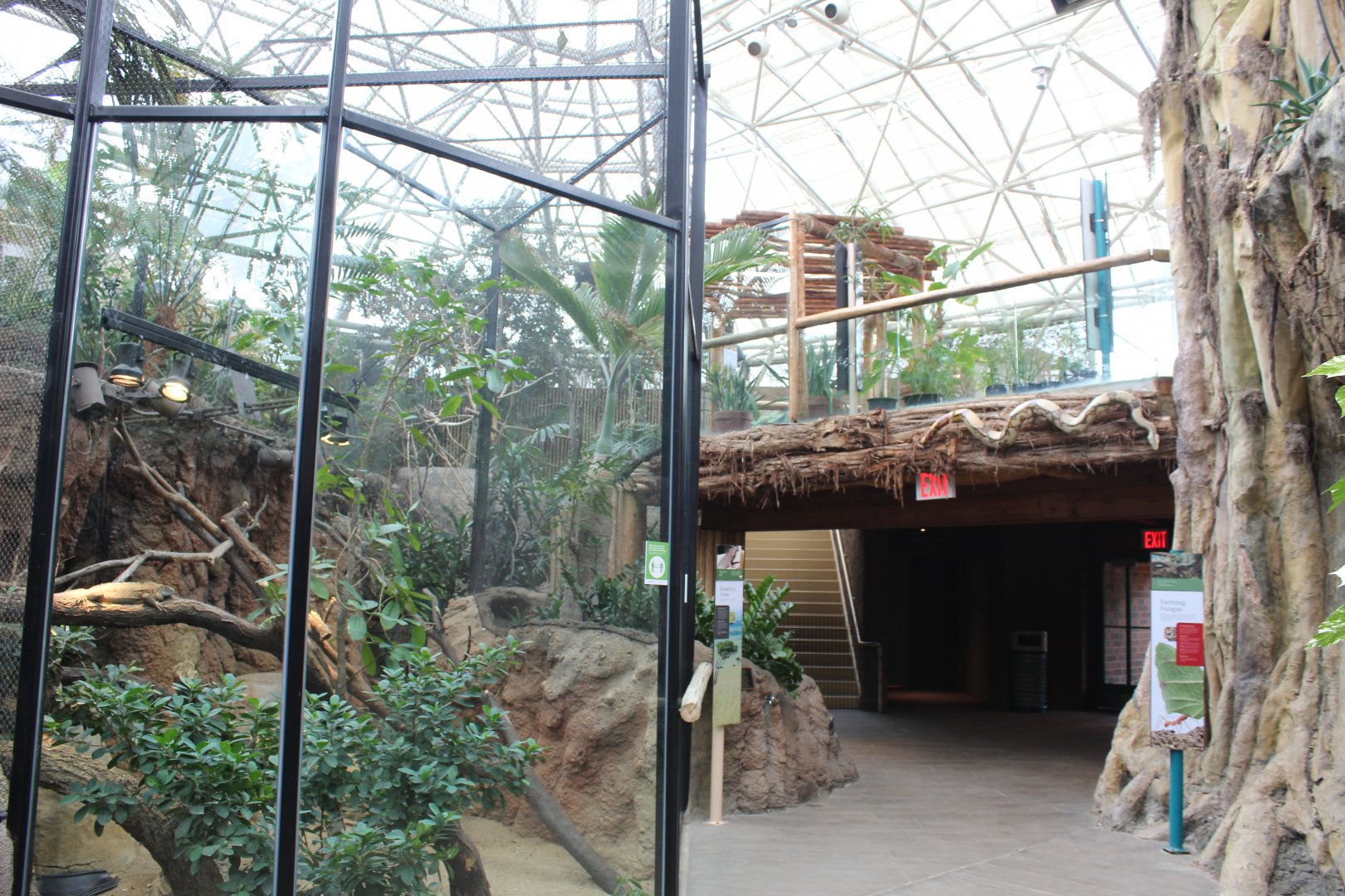 Small Mammal/Reptile House - Rainforest Atrium