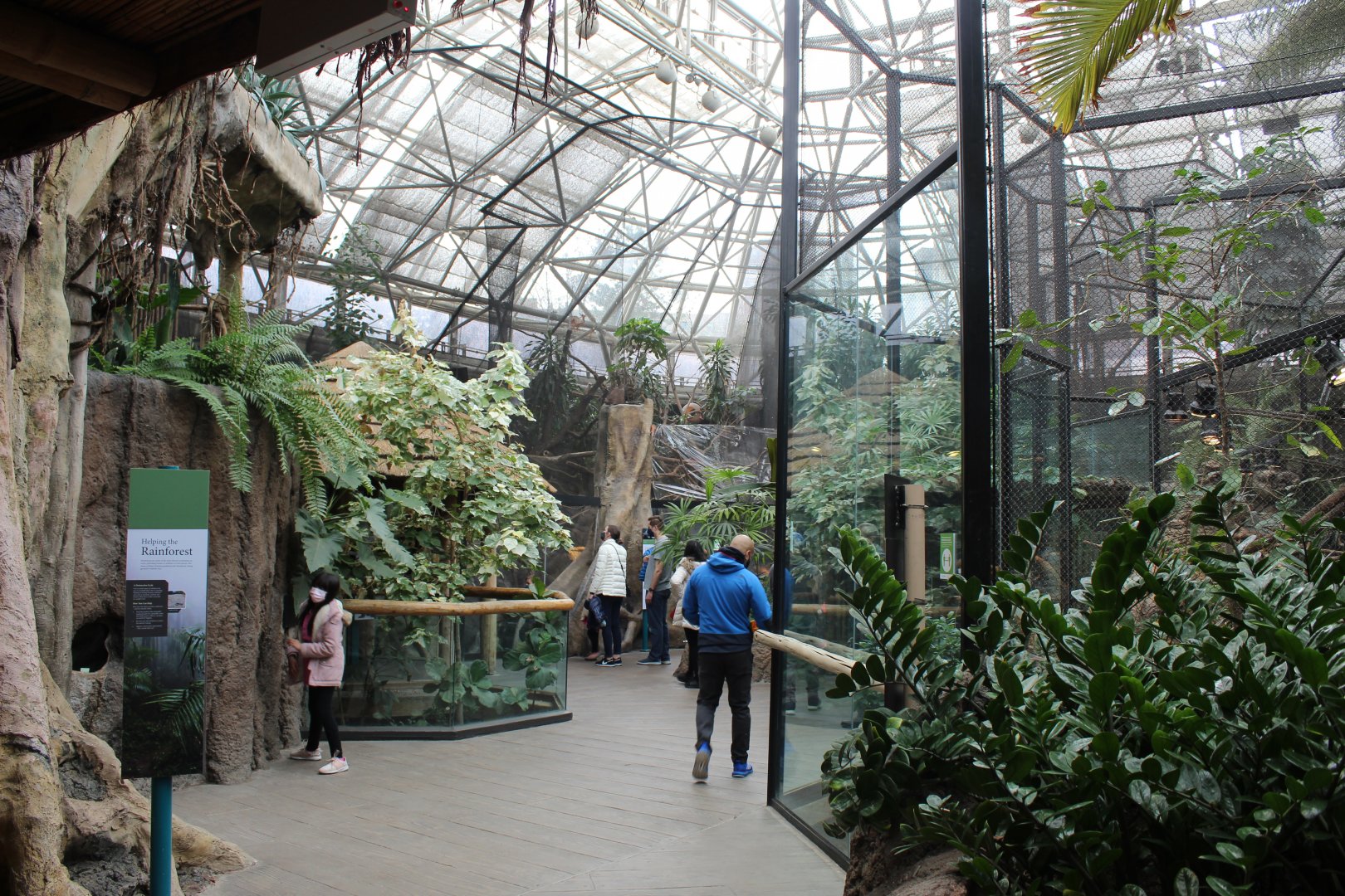 Small Mammal/Reptile House - Rainforest Atrium