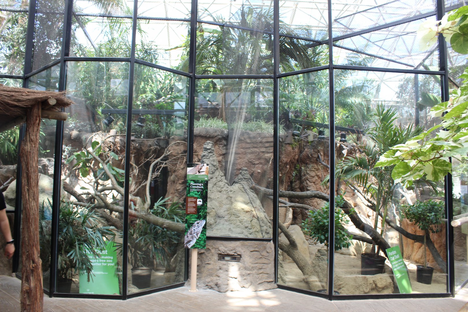 Small Mammal Reptile House Renovations - Patagonian Cavy and Jamaican Iguana Exhibits