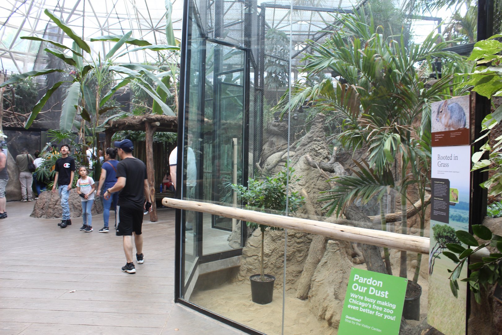 Small Mammal Reptile House Renovations - Patagonian Cavy Exhibit