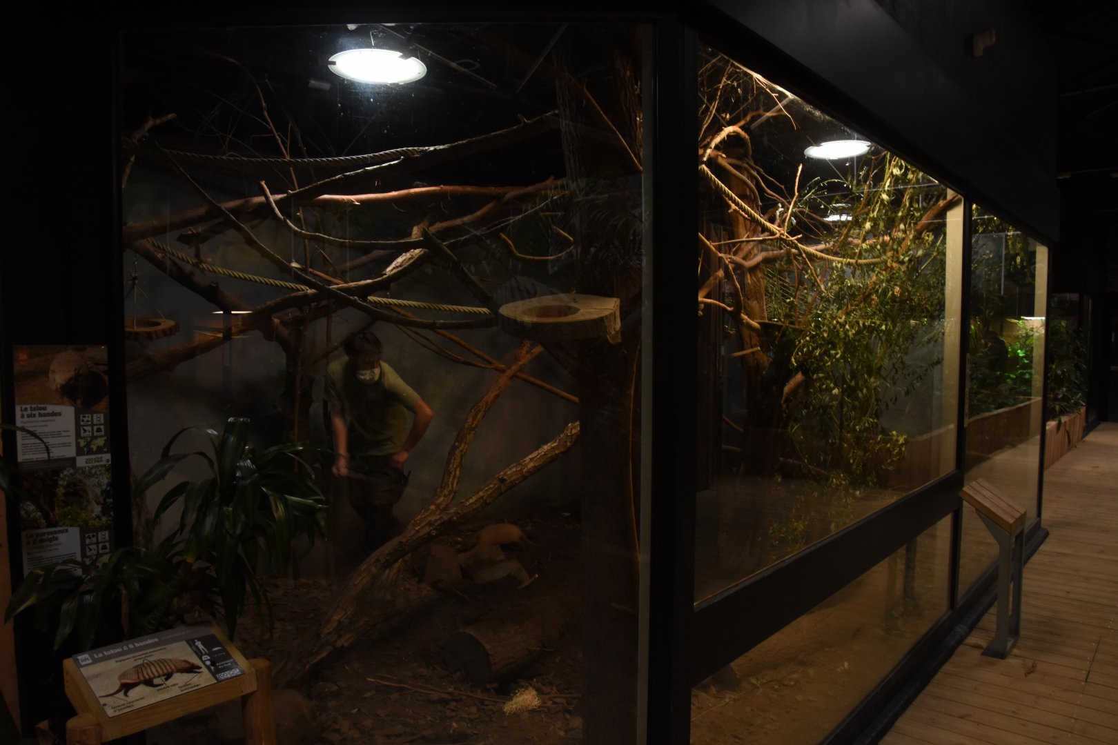 Small mammal / reptile house