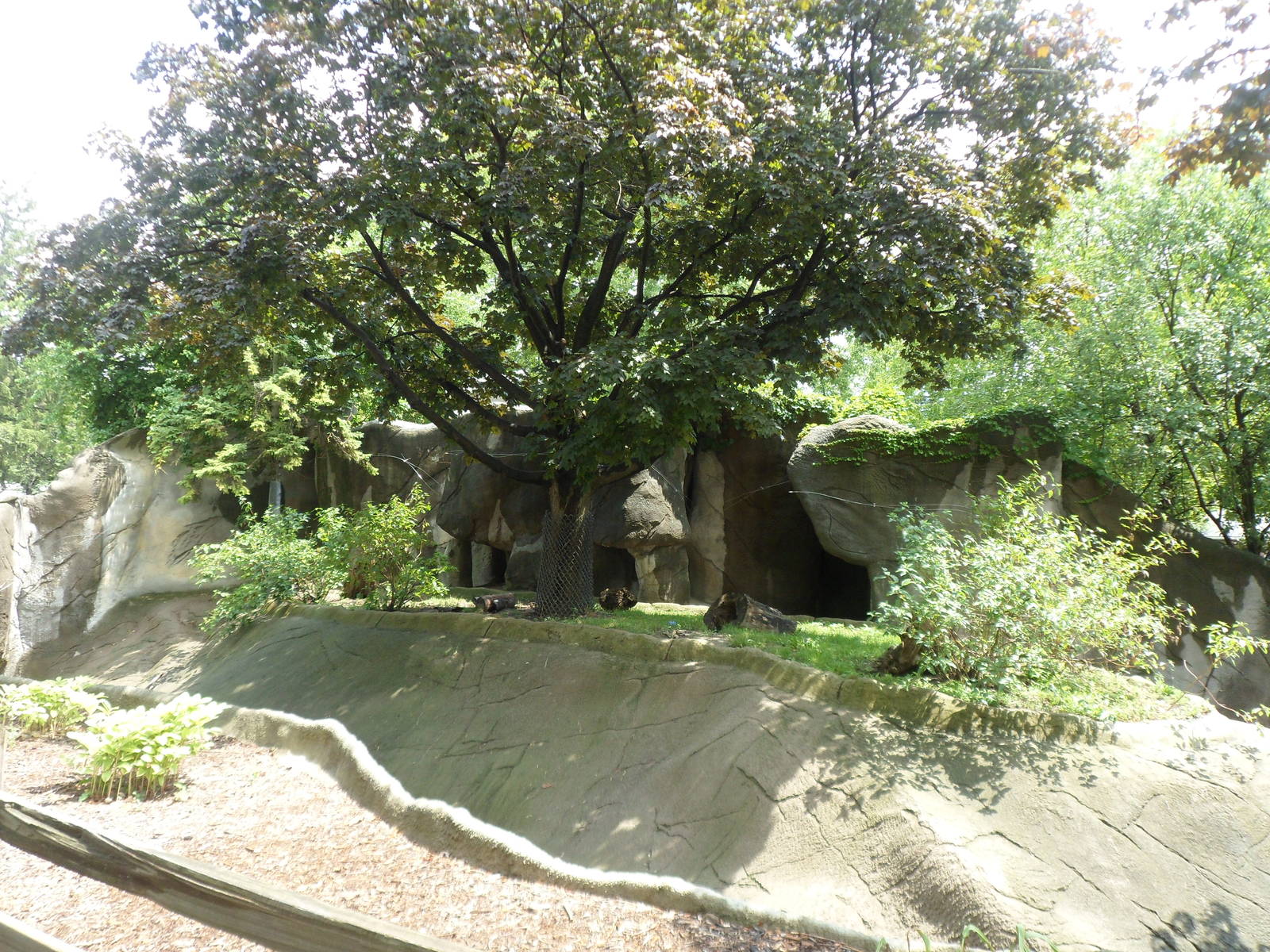 Small Mammals Binturong Exhibit