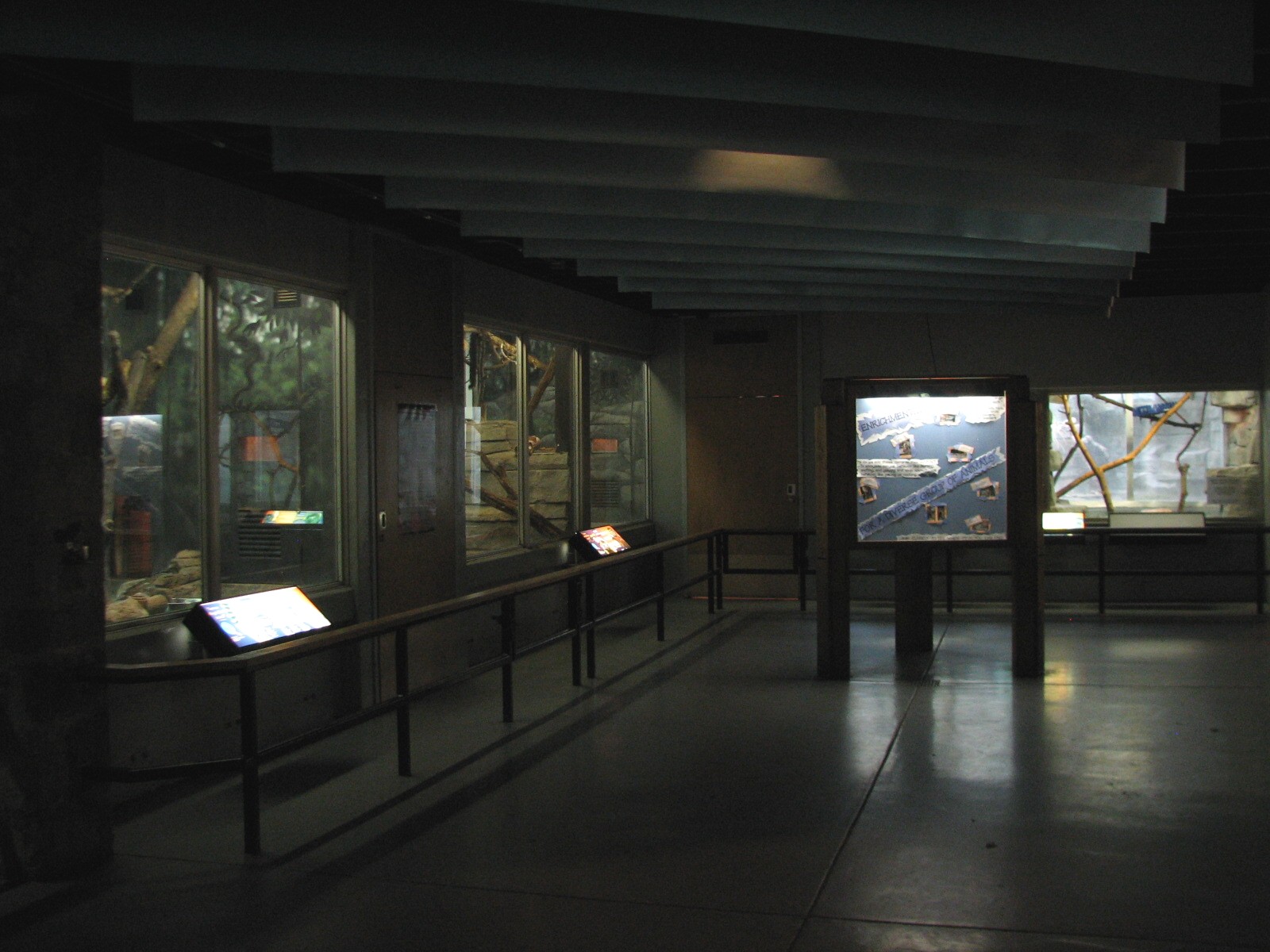 Small Mammals Building - Animals of the Day